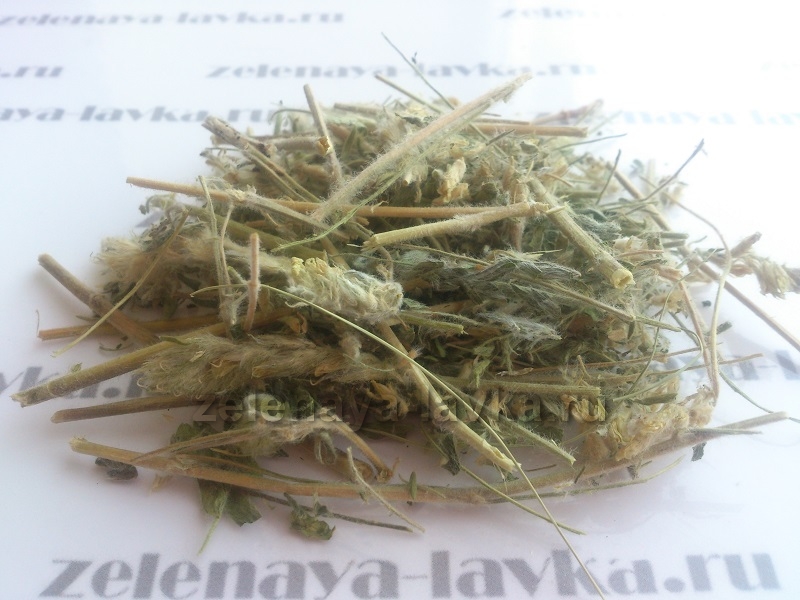 Астрагал шерстистоцветковый (трава)